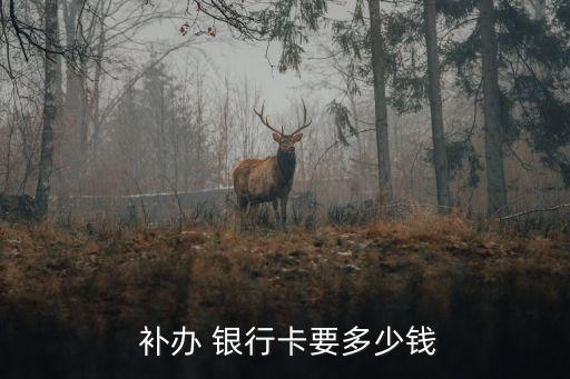  補(bǔ)辦 銀行卡要多少錢