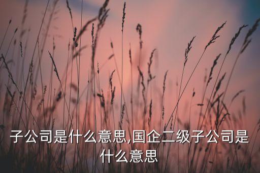 下屬子公司是什么意思,國企二級(jí)子公司是什么意思