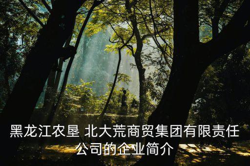 黑龍江農(nóng)墾 北大荒商貿(mào)集團有限責(zé)任公司的企業(yè)簡介