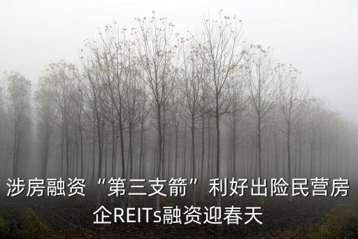 涉房融資“第三支箭”利好出險(xiǎn)民營房企REITs融資迎春天