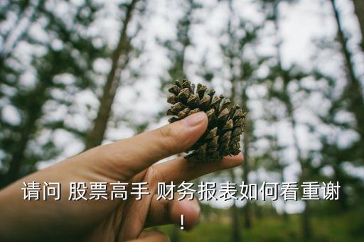 請(qǐng)問 股票高手 財(cái)務(wù)報(bào)表如何看重謝!