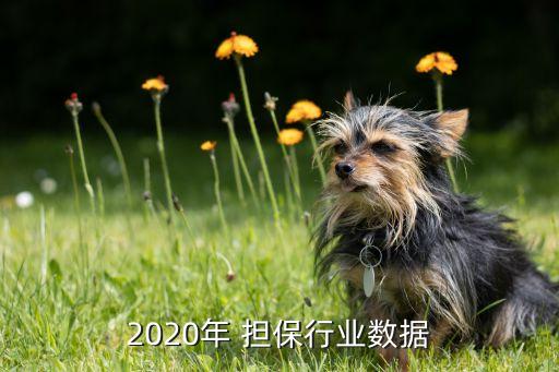 2020年 擔(dān)保行業(yè)數(shù)據(jù)