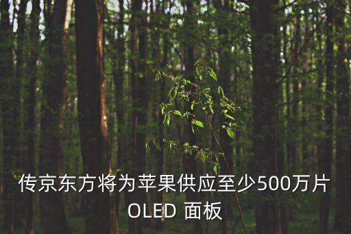 傳京東方將為蘋果供應(yīng)至少500萬片OLED 面板