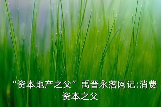 “資本地產(chǎn)之父”禹晉永落網(wǎng)記:消費(fèi)資本之父