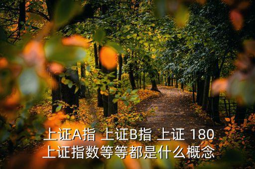  上證A指 上證B指 上證 180 上證指數(shù)等等都是什么概念