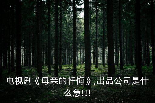 電視劇《母親的懺悔》,出品公司是什么急!!!