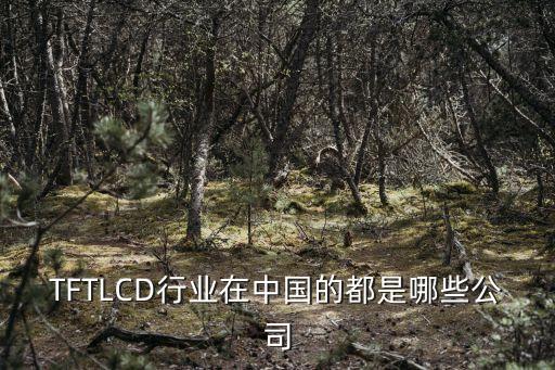 TFTLCD行業(yè)在中國的都是哪些公司