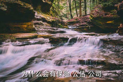 為什么會有保險(xiǎn) 公估 公司