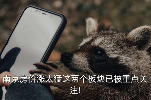 上海房荒,上海第三套房