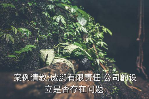  案例請教:威鵬有限責(zé)任 公司的設(shè)立是否存在問題