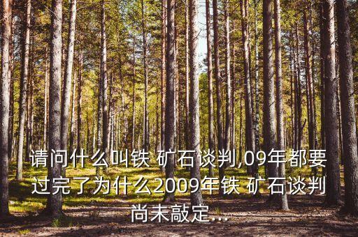 請問什么叫鐵 礦石談判,09年都要過完了為什么2009年鐵 礦石談判尚未敲定...