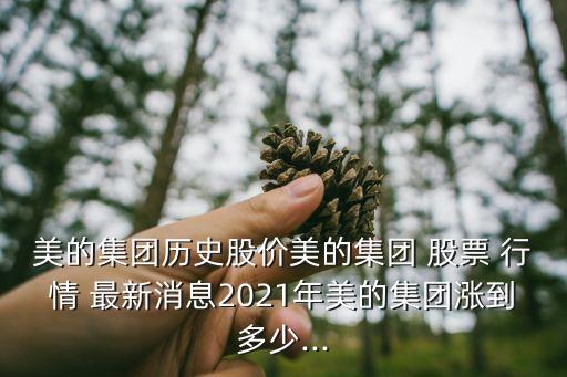 美的集團歷史股價美的集團 股票 行情 最新消息2021年美的集團漲到多少...