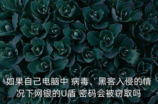 如果自己電腦中 病毒、黑客入侵的情況下網(wǎng)銀的U盾 密碼會被竊取嗎