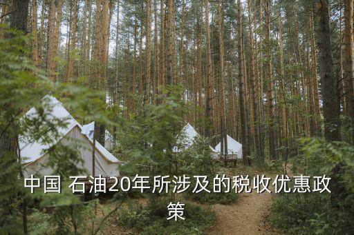 中國(guó) 石油20年所涉及的稅收優(yōu)惠政策