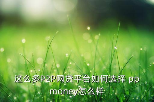 這么多P2P網(wǎng)貸平臺(tái)如何選擇 ppmoney怎么樣