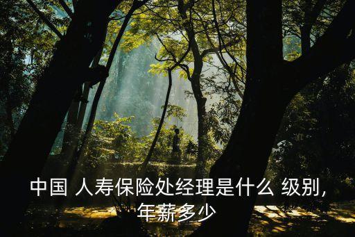 中國人壽什么級(jí)別