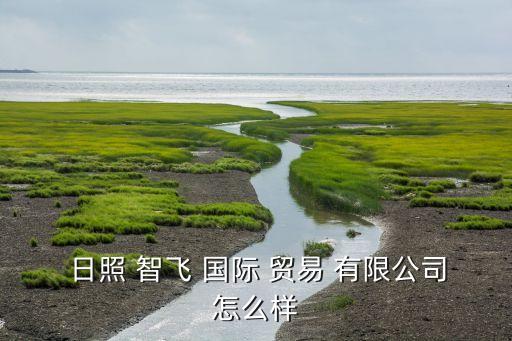 日照智飛國際貿(mào)易有限公司,日照海暢國際貿(mào)易有限公司