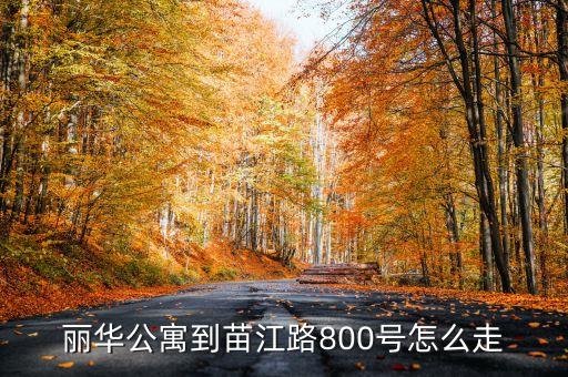 麗華公寓到苗江路800號怎么走