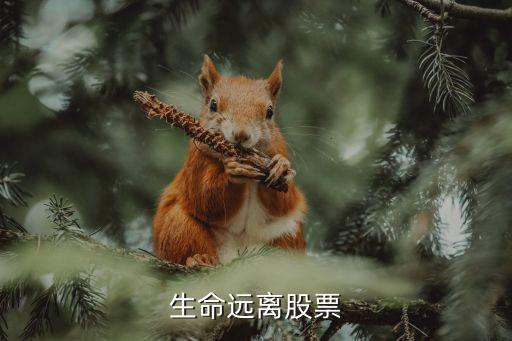 珍愛生命遠(yuǎn)離股票