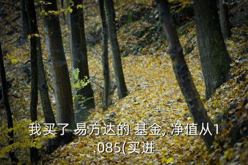 易方達(dá)改革紅利基金凈值