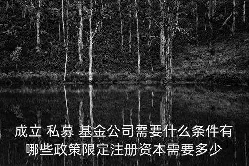 成立 私募 基金公司需要什么條件有哪些政策限定注冊資本需要多少