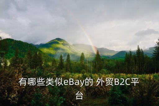 有哪些類似eBay的 外貿(mào)B2C平臺