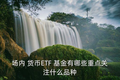 場內(nèi) 貨幣ETF 基金有哪些重點關(guān)注什么品種