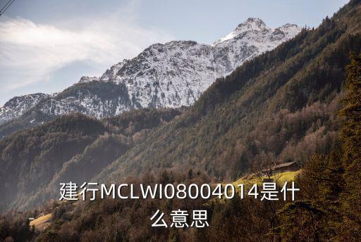 建行MCLWI08004014是什么意思