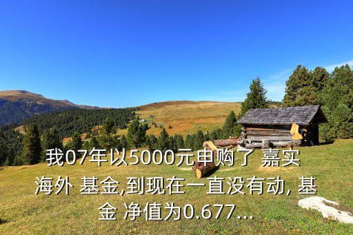 我07年以5000元申購(gòu)了 嘉實(shí) 海外 基金,到現(xiàn)在一直沒(méi)有動(dòng), 基金 凈值為0.677...