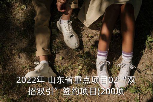 2022年 山東省重點項目02“雙招雙引”簽約項目(200項