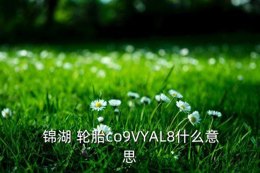  錦湖 輪胎co9VYAL8什么意思