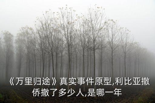 《萬(wàn)里歸途》真實(shí)事件原型,利比亞撤僑撤了多少人,是哪一年