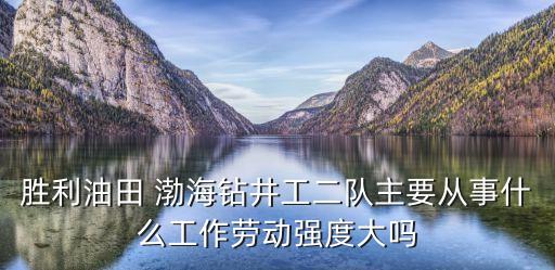 勝利油田 渤海鉆井工二隊主要從事什么工作勞動強(qiáng)度大嗎