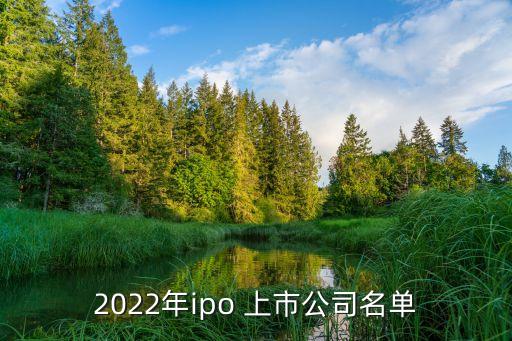 2022年ipo 上市公司名單