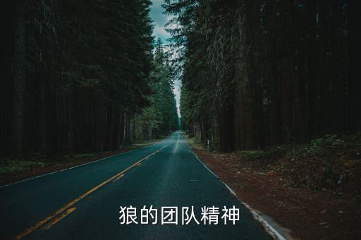 狼的團隊精神