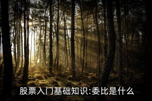  股票入門基礎(chǔ)知識:委比是什么