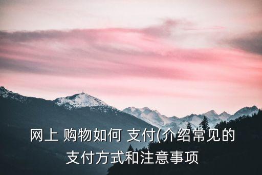 銀行網(wǎng)上購物支付的業(yè)務(wù)說明