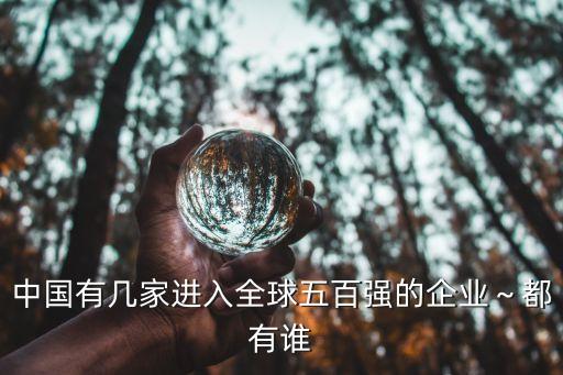 中國(guó)有幾家進(jìn)入全球五百?gòu)?qiáng)的企業(yè)～都有誰(shuí)