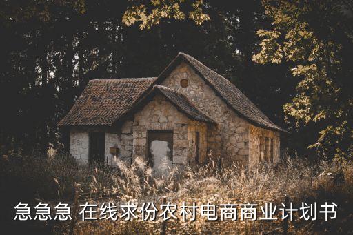 急急急 在線求份農(nóng)村電商商業(yè)計(jì)劃書(shū)