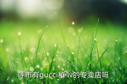 呼市有g(shù)ucci和 lv的專賣店嗎