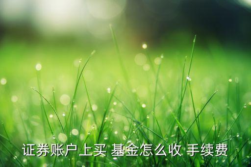 證券賬戶上買 基金怎么收 手續(xù)費(fèi)