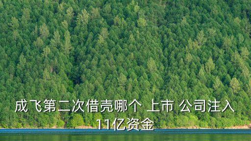 成飛第二次借殼哪個 上市 公司注入11億資金