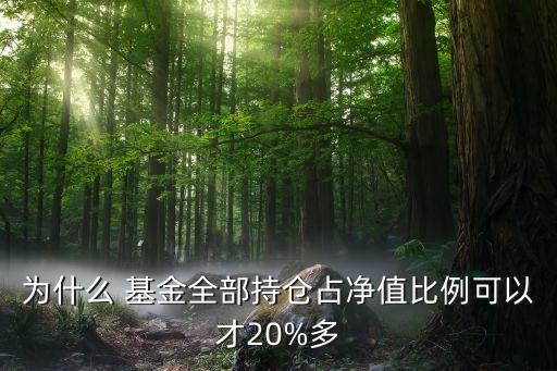 為什么 基金全部持倉(cāng)占凈值比例可以才20%多