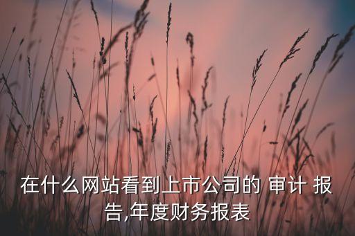 在什么網(wǎng)站看到上市公司的 審計 報告,年度財務(wù)報表