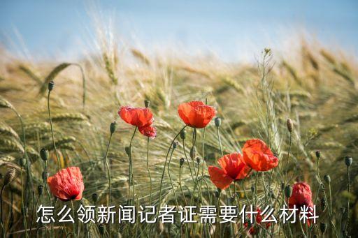 中國記者俱樂部網(wǎng),中國評論網(wǎng)記者查詢