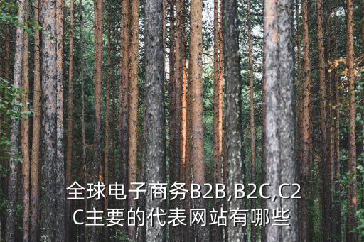  全球電子商務B2B,B2C,C2C主要的代表網(wǎng)站有哪些