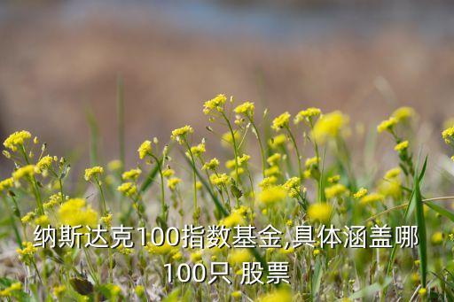 納斯達克100指數(shù)基金,具體涵蓋哪100只 股票