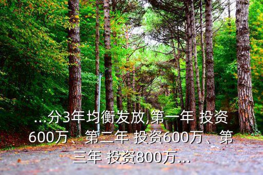 ...分3年均衡發(fā)放,第一年 投資600萬、第二年 投資600萬、第三年 投資800萬...