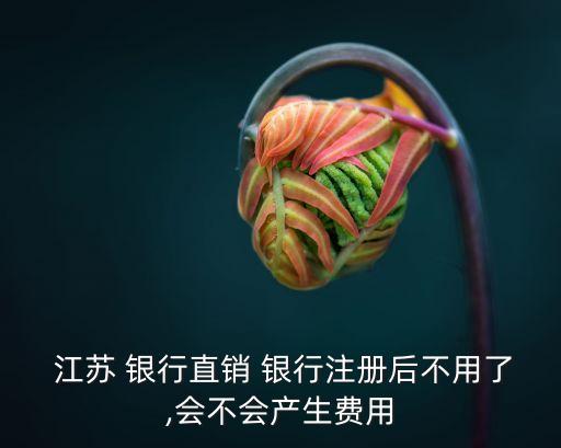 江蘇指銷銀行有風(fēng)險(xiǎn)嗎