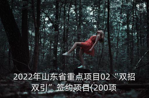 2022年山東省重點(diǎn)項(xiàng)目02“雙招雙引”簽約項(xiàng)目(200項(xiàng)